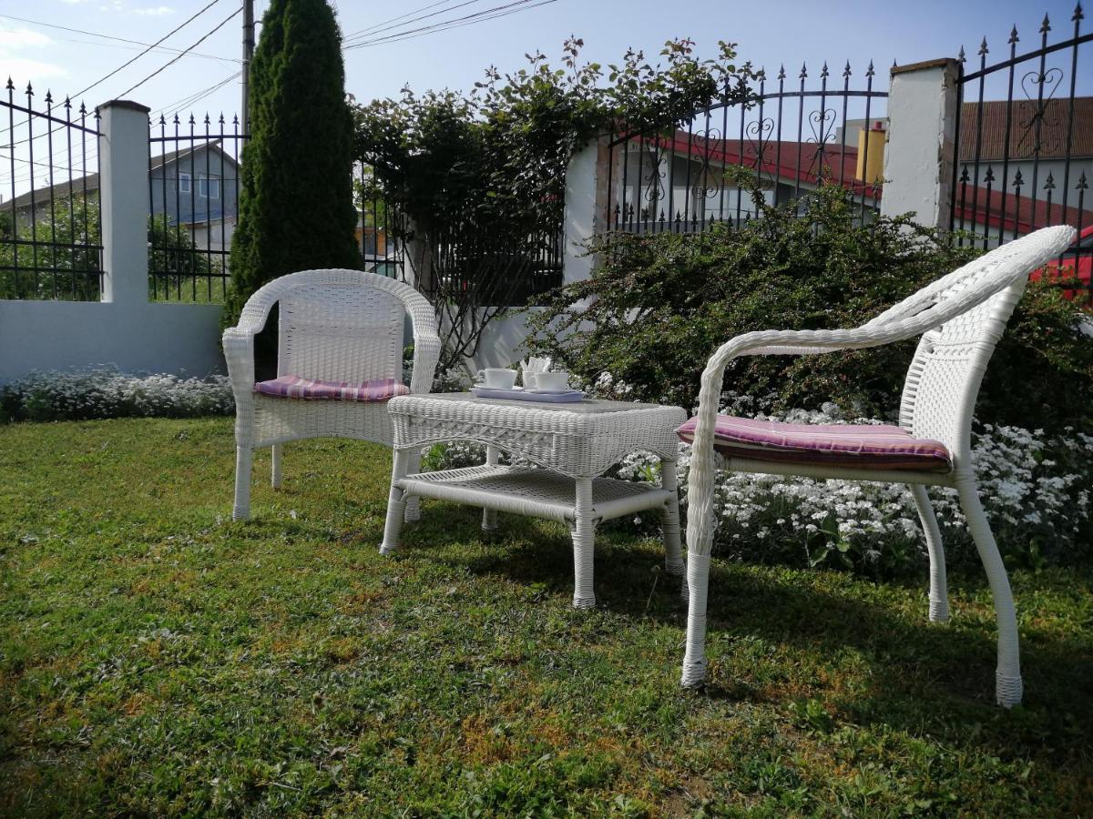 Pensiunea Miraj Costinesti Extérieur photo