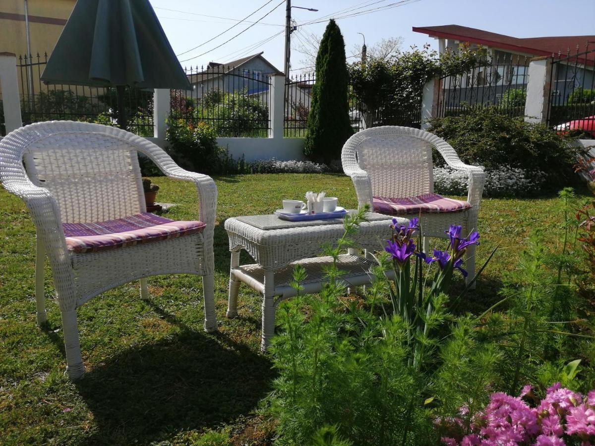 Pensiunea Miraj Costinesti Extérieur photo
